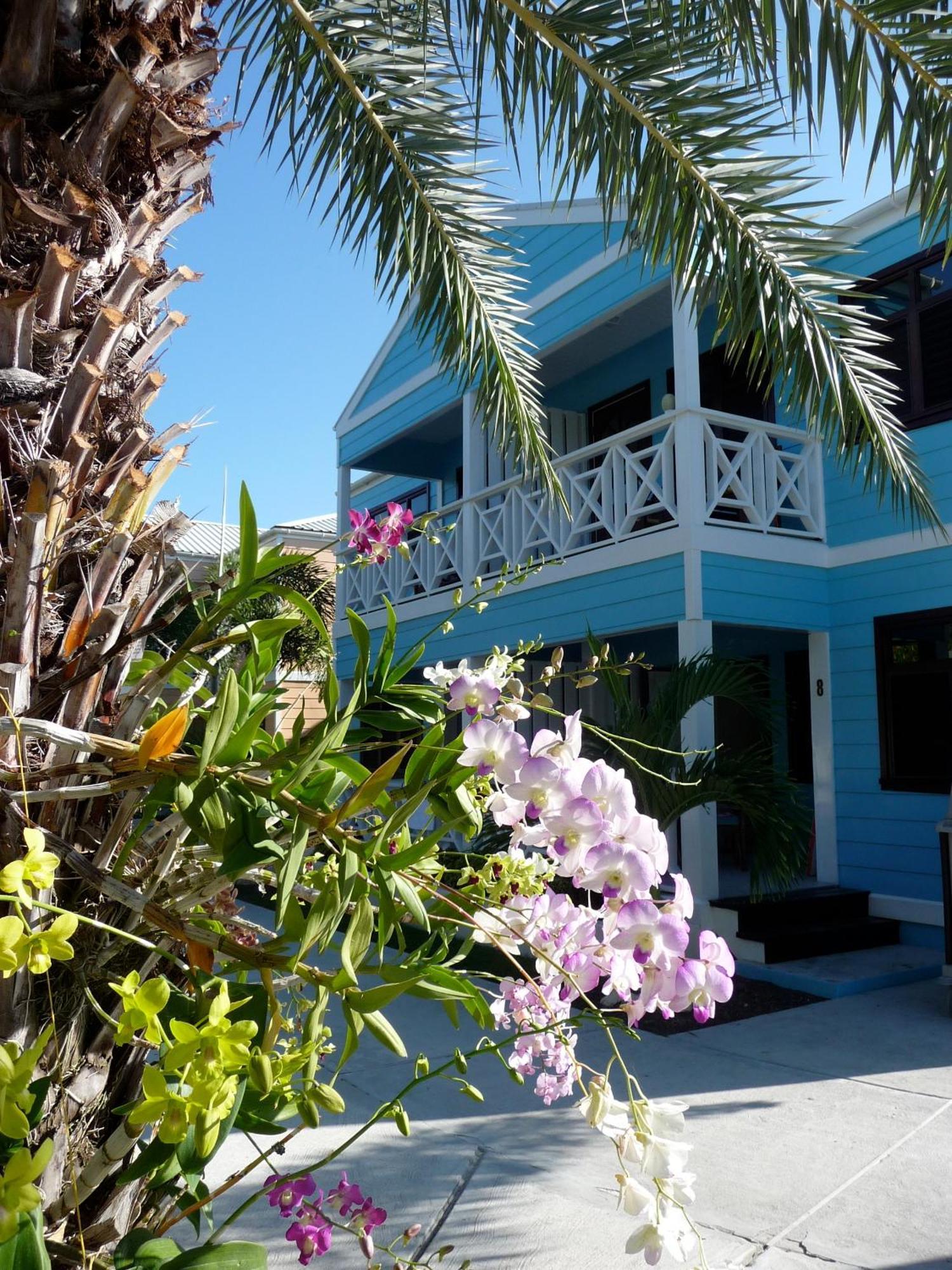 Buccaneer Beach Club Dickenson Bay Eksteriør bilde