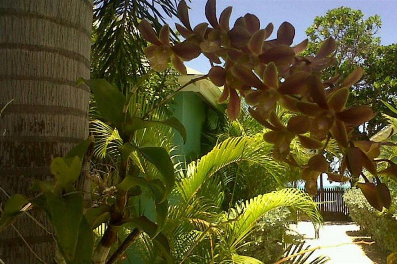 Buccaneer Beach Club Dickenson Bay Eksteriør bilde