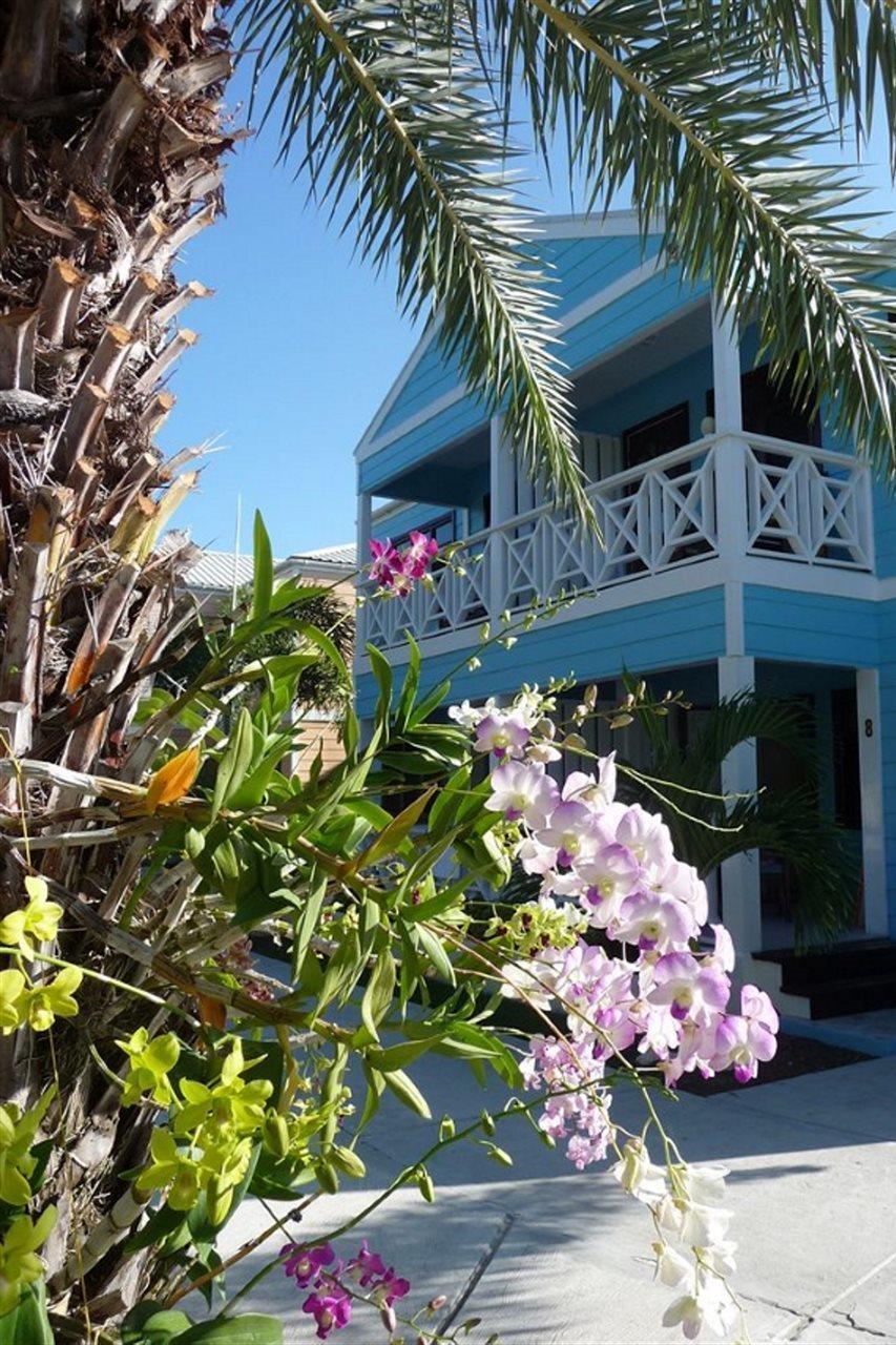 Buccaneer Beach Club Dickenson Bay Eksteriør bilde