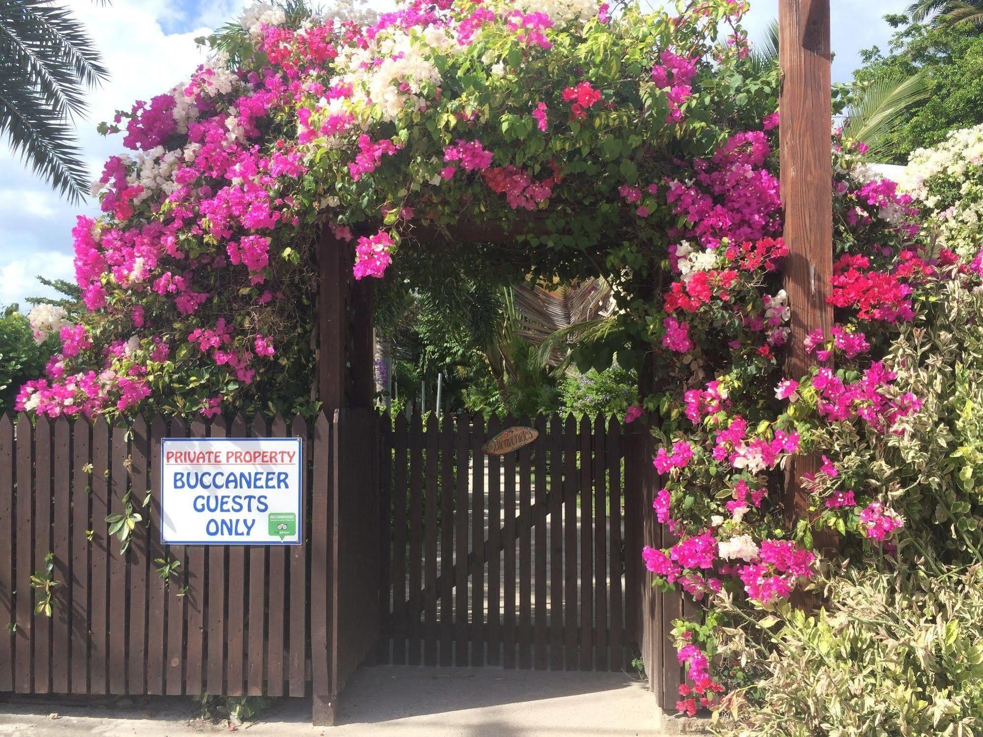 Buccaneer Beach Club Dickenson Bay Eksteriør bilde